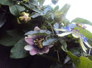 DSC04497