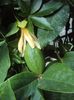 DSC04502