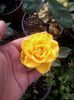20141011_162339