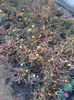 20141011_162718