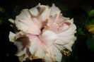 SAM_2716