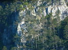 DSCN0006