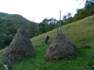 DSCN0034