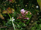 DSCN0046