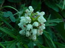 DSCN0049