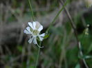 DSCN0050