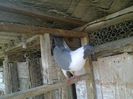 Imag 011847