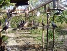IMG_0912