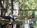 IMG_0916