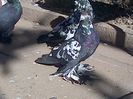 IMG-20141011-00966