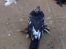 IMG-20141011-00997