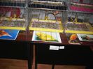 Canari pt.EXPO-AEO-2014 072