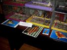 Canari pt.EXPO-AEO-2014 073