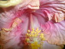 SAM_2821