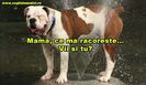 mama-ce-ma-racoreste