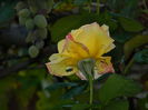 DSCN9754