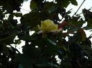DSCN9757