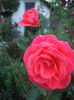 DSCF0255