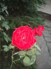 DSCF0301