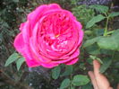 DSCF0317
