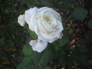DSCF0323