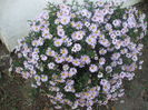 DSCF0394