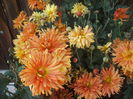 DSCF0399