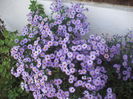 DSCF0402
