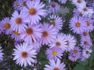 DSCF0405
