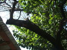 DSCF0409