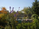DSCN8778