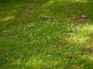 DSCN9681