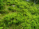 DSCN9686