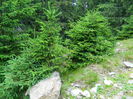 DSCN9688