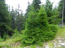 DSCN9690