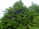 DSCN9692