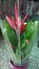 WP_20141011_12_19_34_Pro