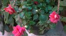WP_20141011_12_20_42_Pro