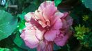 WP_20141011_12_20_51_Pro