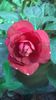WP_20141011_12_20_57_Pro