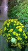 WP_20141011_12_21_19_Pro
