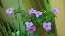 WP_20141011_12_21_26_Pro
