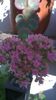 WP_20141011_12_22_45_Pro