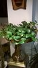 WP_20141011_12_24_11_Pro