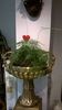 WP_20141011_12_24_52_Pro