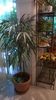 WP_20141014_15_54_51_Pro