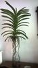 WP_20141014_15_54_59_Pro