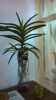 WP_20141014_15_55_07_Pro