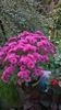 WP_20141014_15_55_59_Pro