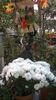 WP_20141014_15_56_09_Pro